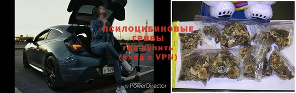 MDMA Premium VHQ Каменка