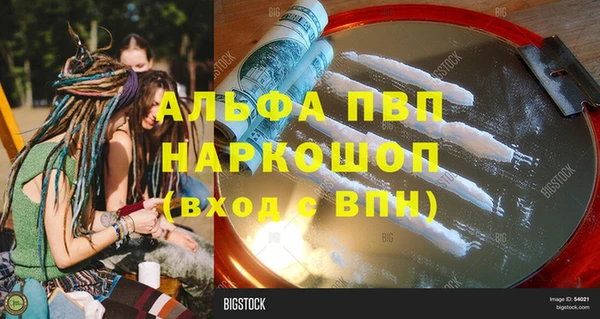 спиды Каменногорск