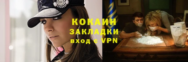 спиды Каменногорск