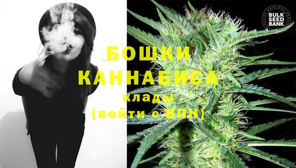 спиды Каменногорск